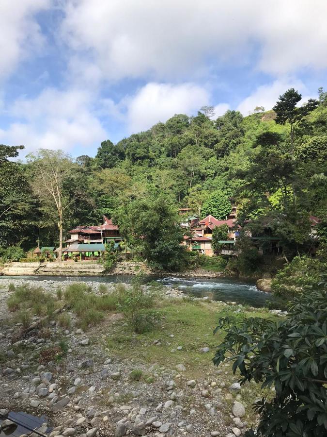 Thomas' Retreat Bukit Lawang Hotel Екстериор снимка