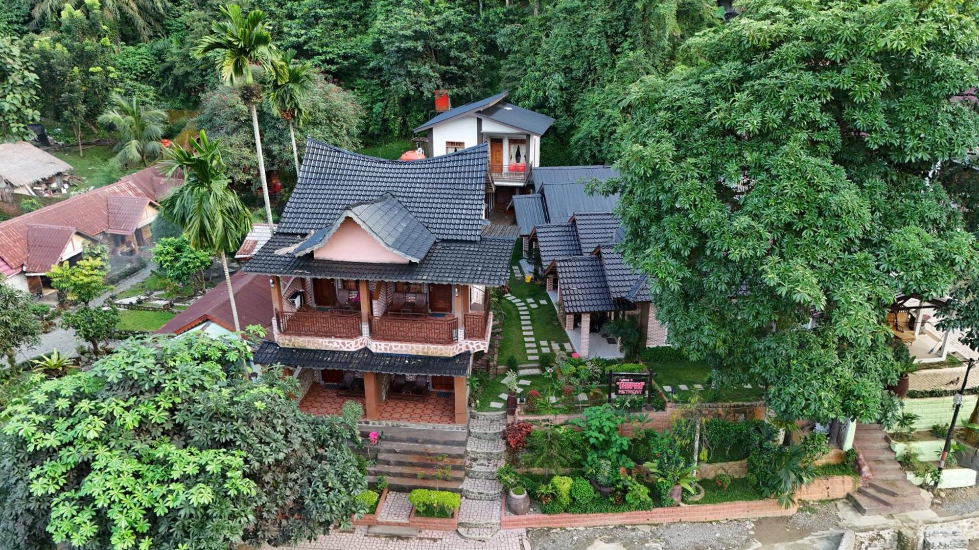 Thomas' Retreat Bukit Lawang Hotel Екстериор снимка
