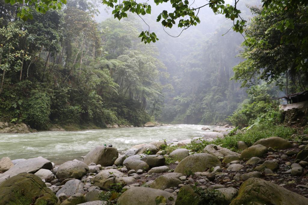 Thomas' Retreat Bukit Lawang Hotel Екстериор снимка