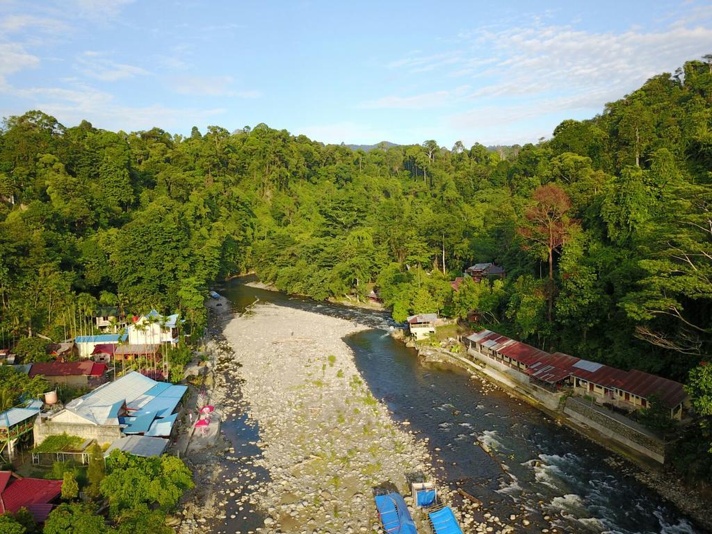 Thomas' Retreat Bukit Lawang Hotel Екстериор снимка